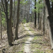 Portland Trails system in Greater Portland