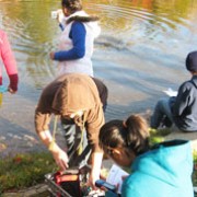 What is YOUR Vital Signs mission?